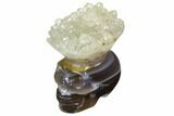 Polished Agate Skull with Quartz Crown #149538-1